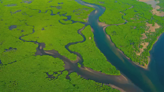 public/default/media/default-feeds-aerial-view-of-the-amazon-river-in-brazil-44aa3628-44aa3628.webp