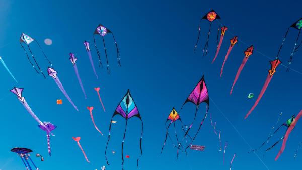 Adelaide International Kite Festival, Australia (© Andrey Moisseyev/Alamy)