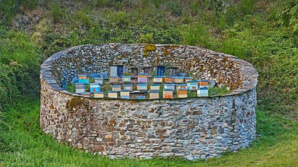 Beehives in the Muniellos Nature Reserve, Asturias province, Spain (© ABB