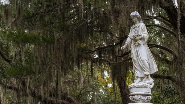 Bonaventure Cemetery, Savannah, Georgia (© Kelly vanDellen/Alamy)
