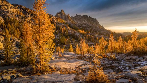 Golden larches and Prusik Peak, the Enchantments, Washington (© Jim