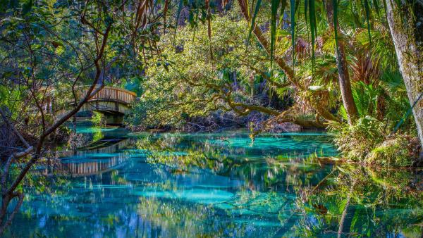 Juniper Springs in Ocala National Forest, Florida (© Michael Warren/Getty
