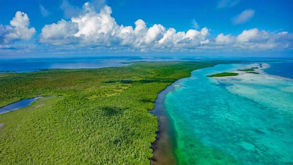 Lighthouse Reef, Blue Hole Natural Monument, Belize (© Tom Till/Alamy)