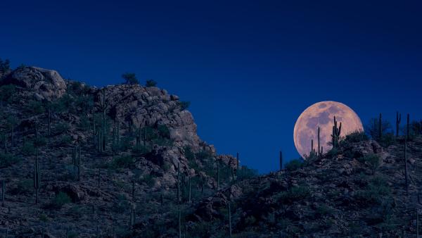 Moon rising, Tucson, Arizona (© Tim Murphy/Shutterstock)