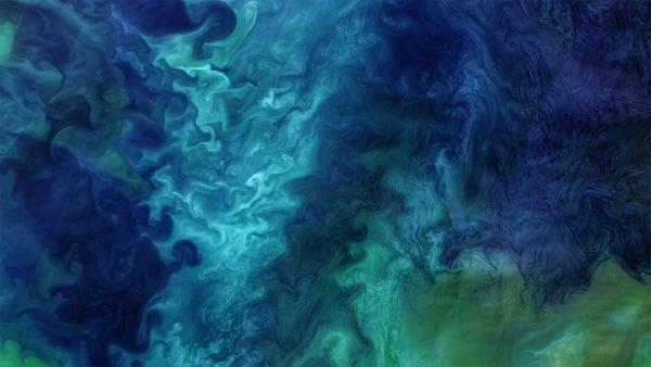 Phytoplankton blooming in the Chukchi Sea off the coast of Alaska (© Norman