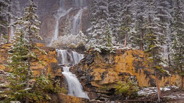 Tangle Creek Falls in Jasper National Park, Alberta, Canada (© Jeff Foott/Minden