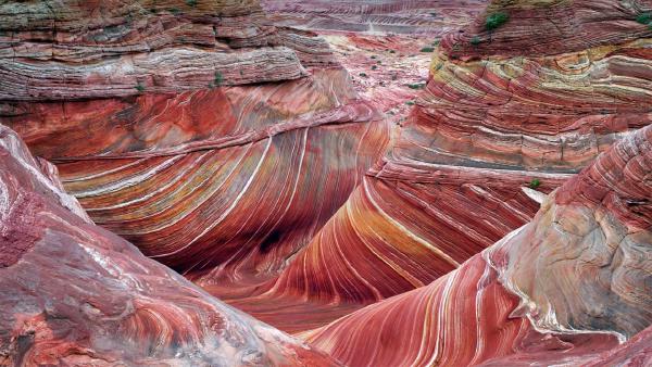 The Wave sandstone formation in Coyote Buttes North, Paria Canyon-Vermilion