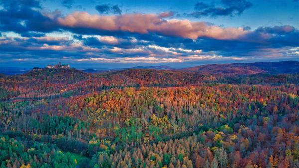 Thuringian Forest in autumn with Wartburg Castle, Germany (© ezypix/Getty