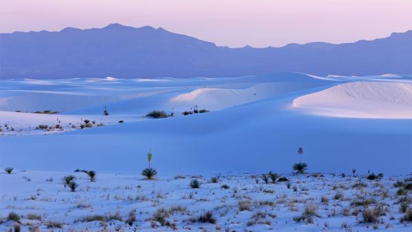 White Sands National Park, New Mexico (© Andrea Harrell/Tandem Stills + Motion)