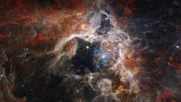 Young stars forming in the Tarantula Nebula, James Webb Space Telescope (© NASA,