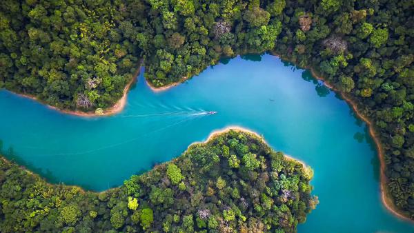 Aerial view of Khao Sok National Park, Surat Thani, Thailand (© Peetatham Kongkapech/Getty Images)