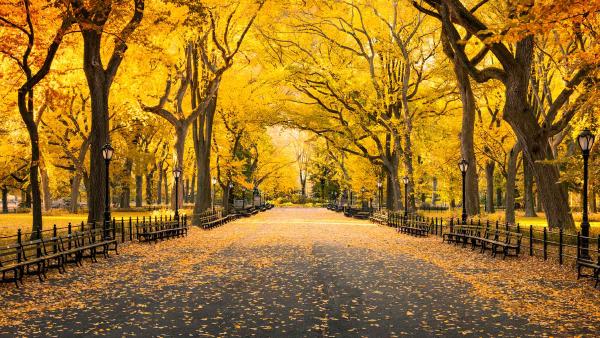 Autumn in Central Park, Manhattan, New York (© mapman/Shutterstock)