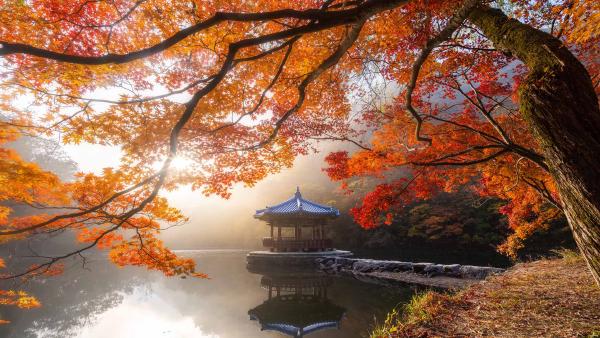 Autumn in Naejangsan National Park, South Korea (© Twenty47studio/Getty Images)