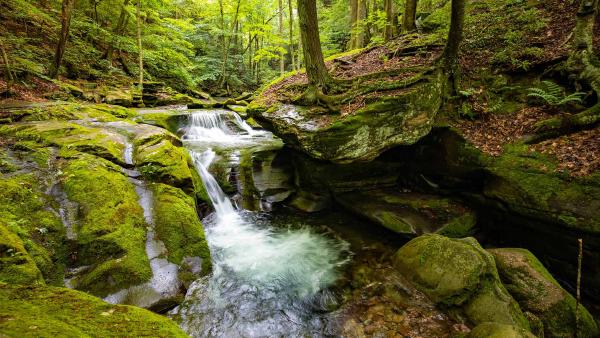 Bear Hole Brook, Catskill Mountains, New York (© GummyBone/Getty Images)