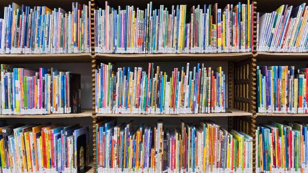 Books in the children’s section of The New York Public Library, New York (© Ken Welsh/Alamy)