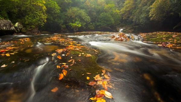 Chattooga River in the Appalachian Mountains, North Carolina (© mtilghma/Getty Images)