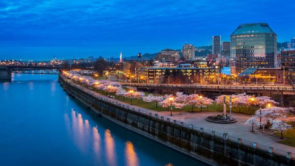 Cherry blossoms at Tom McCall Waterfront Park, Portland, Oregon (© Eric Vogt/Tandem Stills + Motion)