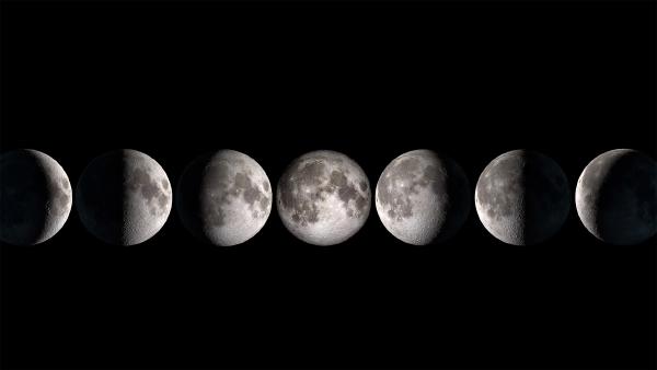 Composite photo showing the phases of the moon (© Delpixart/Getty Images)