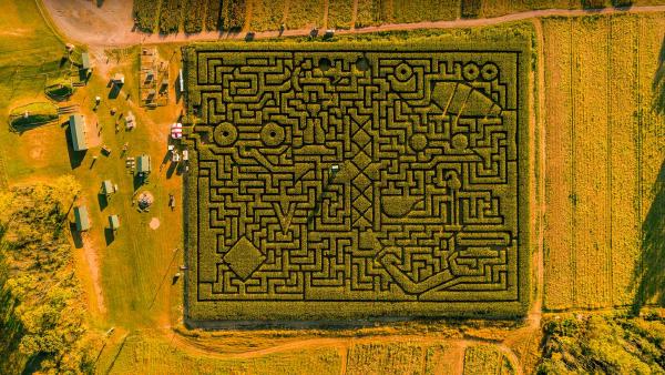 Corn maze in Saylorsburg, Pennsylvania (© Alex Potemkin/Getty Images)
