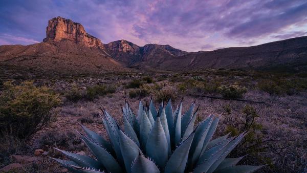 El Capitan at sunrise in Guadalupe Mountains National Park, Texas (© Adam