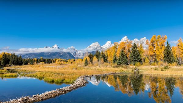 Grand Teton National Park, Wyoming (© Westend61/Getty Images)