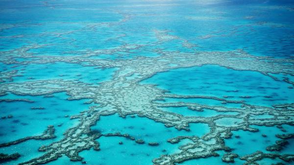 Great Barrier Reef from above, Queensland, Australia (© Francesco Riccardo Iacomino/Getty Images)