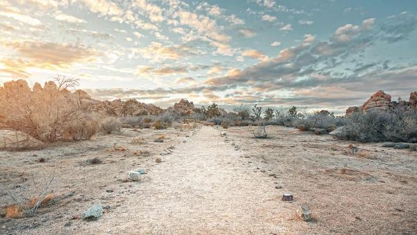 Joshua Tree National Park, California (© JJ Landscapes/Getty Images)