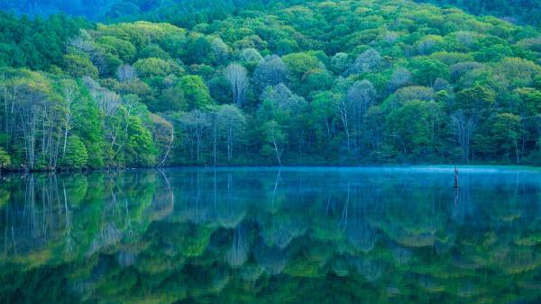 Kagami-ike (Mirror Pond), Nagano, Japan (© Shoji Fujita/Getty Images)