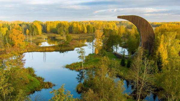 Kirkilai lakes and lookout tower, Biržai Regional Park, Lithuania (©