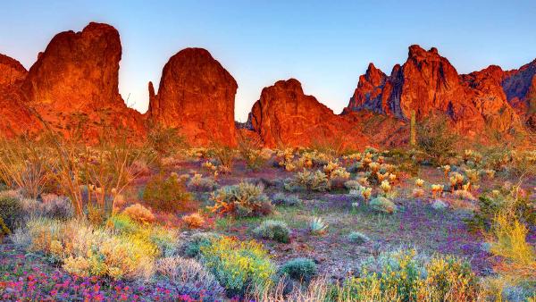 Kofa National Wildlife Refuge, Arizona (© Denis Tangney Jr/Getty Images)