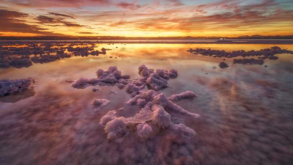 Laguna de Torrevieja, Alicante, Spain (© Juan Maria Coy Vergara/Getty Images)