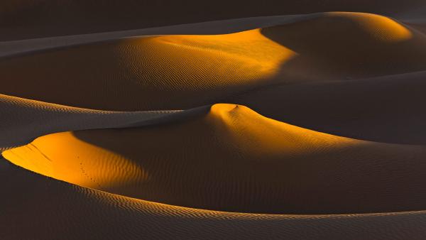 Last rays of sun on a group of dunes, Sahara, Algeria (© AWL