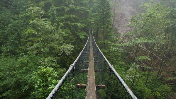 Logan Creek Suspension Bridge, West Coast Trail, Canada (© Tandem Stock/Adobe Stock)