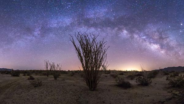 Milky Way over Anza-Borrego Desert State Park, California (© Kevin Key/Slworking)/Getty Images)
