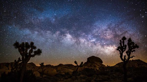 Milky Way over Joshua Tree National Park, California (© Schroptschop/Getty