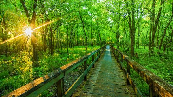 Natchez Trace Parkway, Tupelo, Mississippi, USA (© The best photo is earned/Getty Images Plus)
