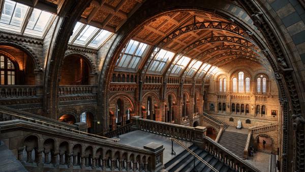 Natural History Museum, London, England (© Colm Keating/Tandem Stills + Motion)