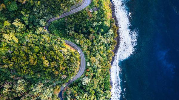 Road to Hana, Maui, Hawaii (© Matteo Colombo/Getty Images)