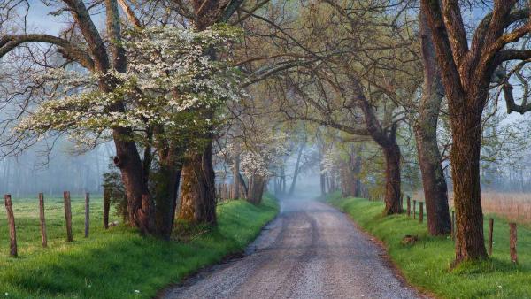 Sparks Lane in Cades Cove, Great Smoky Mountains National Park, Tennessee (©