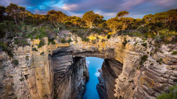 Tasmans Arch, Tasmania, Australia (© Gary Bell/Minden Pictures)