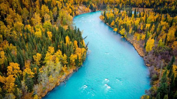 The blue, glacier-fed waters of the Kasilof River, Alaska, USA (© jared lloyd/Getty Images)