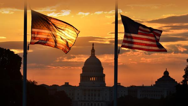 US Capitol building and US flags, Washington, DC (© Orhan Cam/Shutterstock)