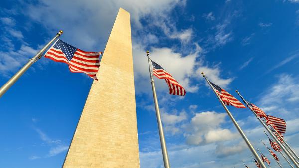 US flags surrounding the Washington Monument, Washington, DC  (© Orhan Cam/Shutterstock)