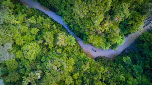 Whanganui National Park, Retaruke, New Zealand (© Matthew Micah Wright/Getty Images)